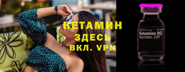 шишки Аркадак