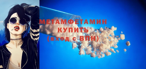 шишки Аркадак