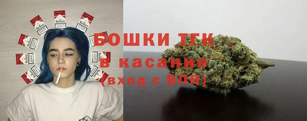 шишки Аркадак