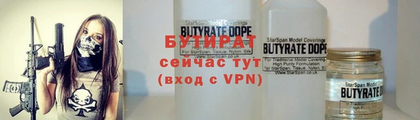 шишки Аркадак