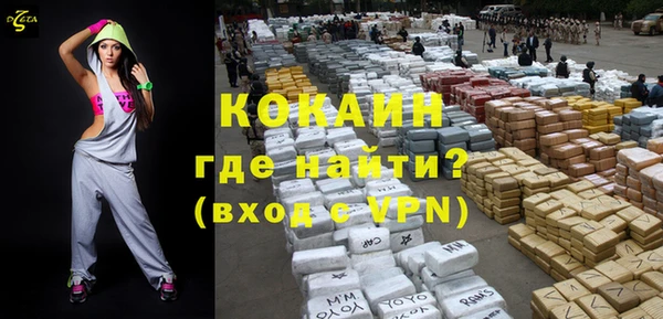 шишки Аркадак