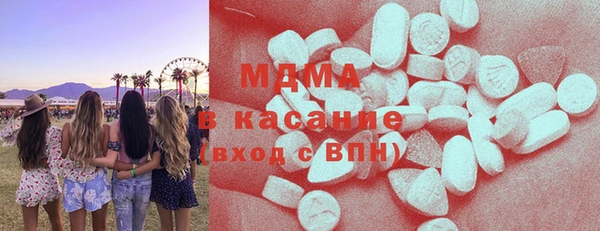 шишки Аркадак
