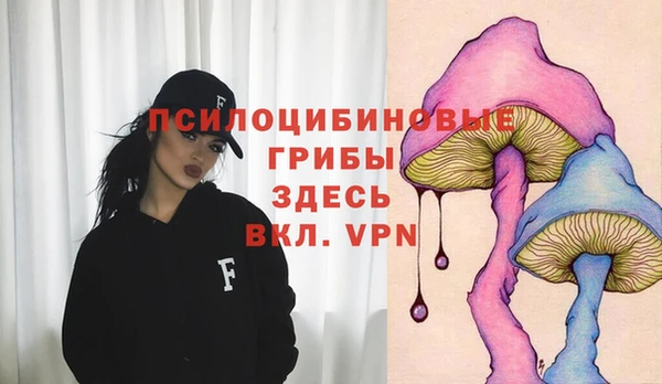 бошки Арсеньев