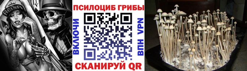 Галлюциногенные грибы Magic Shrooms  наркотики  Белая Холуница 